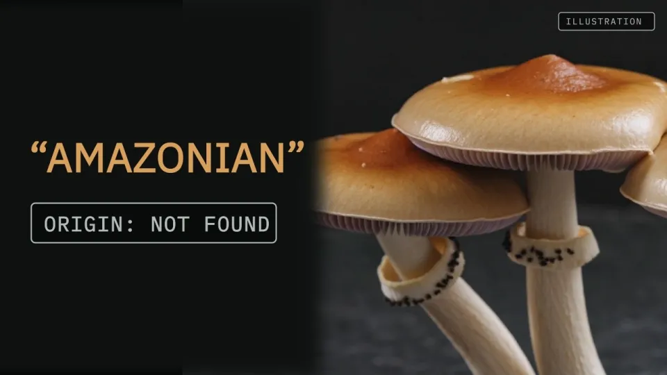 Amazonian mushroom reveals the true story behind its name and scientific background