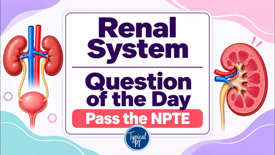 How to Use Free NPTE Practice Questions to Master Chronic Kidney Disease and Renal System Concepts